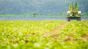 Deutschland leitet Glyphosat-Ende ein
