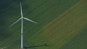 Windparkbetreiber müssen Schadenersatz zahlen
