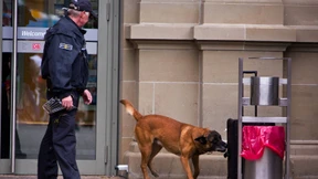 Sprengstoffhunde unzureichend ausgebildet