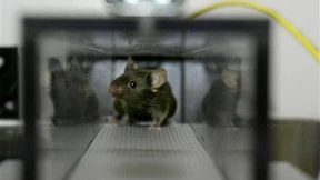 Wie aus dem Nichts etwas wurde