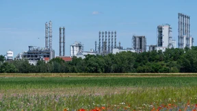 Die Fabrik wird grün, der Staat zahlt