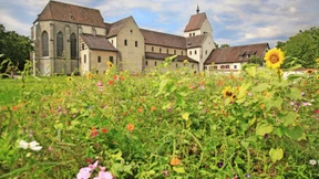 Es wuchs ein Rosmarienbaum