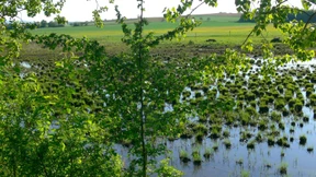 Ein Paradies für Vogelfreunde und Naturliebhaber