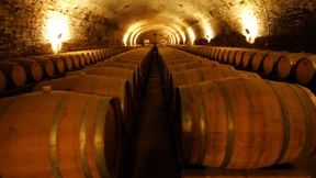 Spanierin soll absichtlich Wein im Millionenwert verschüttet haben