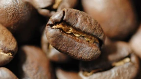 Melitta soll wegen Kaffeekartells 55 Millionen Euro Strafe zahlen