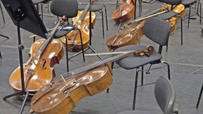 Entschuldigung für das kostbare Holz