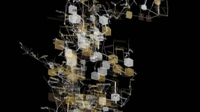 Wenn die Computer Preise absprechen