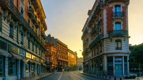 Sturmerprobt unter Palmen