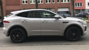 Kleine Katze setzt auf großes Design