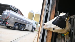 Kondensmilch besonders gefragt