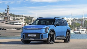 Kolossales aus Korea