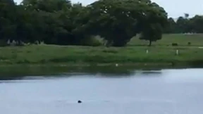 Jugendliche filmen ertrinkenden Mann und lachen