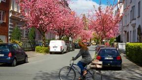 Schön, satt und selbstgewiss