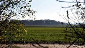 Lärm und Klimaveränderung kein Hindernis