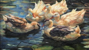 Nach Hamburg kommen die Chinesen mit dem Bus