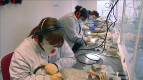 Trainingslager für Hobby-Paläontologen