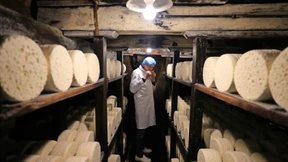 Mehr als nur ein Käse