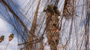 Wie ein irakischer Industriebetrieb überlebt