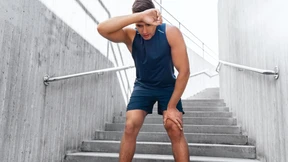 „Das hält kein Gaul aus“