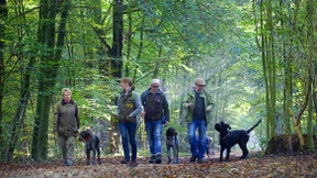 Deutschland, Trüffelland