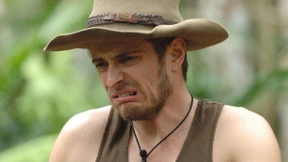 Pikante Hybris an püriertem Kakerlakenschaum