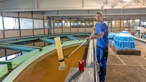 Trinkwasser zu verschwenden ist billiger