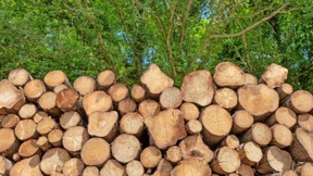 Helden des Klimawandels