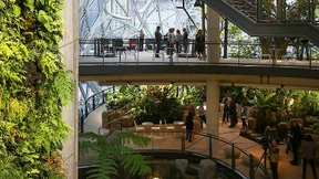 Das Büro wird grün