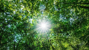 So will die EU zum weltweiten Klimaschutz-Vorreiter werden