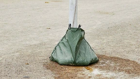 Steter Tropfen rettet den Baum