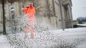 Warum Wegner recht hatte