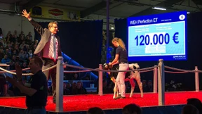 Sechsstellige Summe für ein Kälbchen