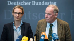 Mehrheit hält AfD für vorübergehendes Phänomen