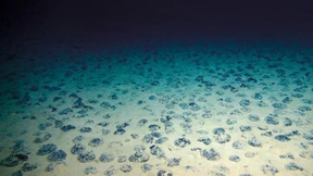 Leserbriefe vom 31. Mai 2025