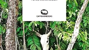 Philosophie der Schwebe