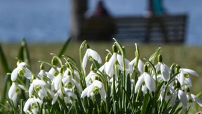 Frühlingshafte Temperaturen am Wochenende