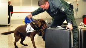 Mitarbeiter schmuggelten Kokain für Drogenbosse