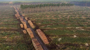 Naturschutzverbände fordern sofortige Sicherheitsleistung von Tesla