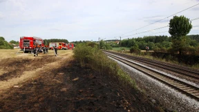 Bahn streicht jeden achtzigsten Zug ersatzlos