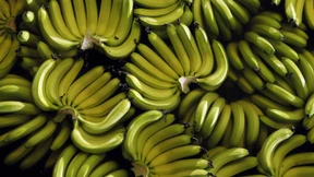 Ukraine-Krieg lässt Bananengeschäft einbrechen