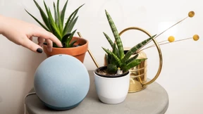 Guter Tipp, schlechter Tipp