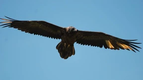 Im Tal der Knochenbrecher