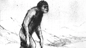 Neue Spuren zum Yeti