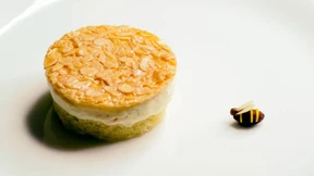 Deutscher Wein und deutscher Drang