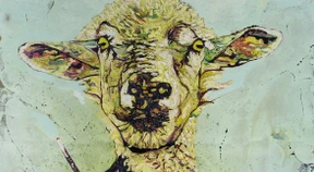 Radikal systemunkonform