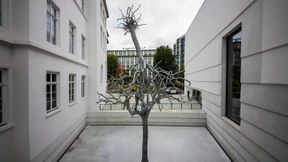 Wundersam im Gleichgewicht