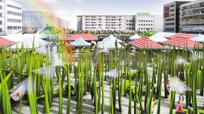 Grüne Ideen für das graue Wohnzimmer