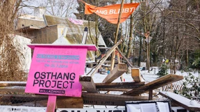 Kritik an Rodung am Osthang der Mathildenhöhe