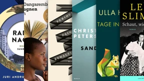 Die wichtigsten Romane des Herbstes