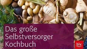 Kohlrabi an und für sich